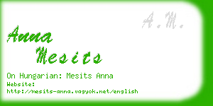 anna mesits business card